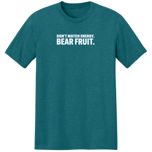 DON'T MATCH ENERGY. BEAR FRUIT. (TEAL)